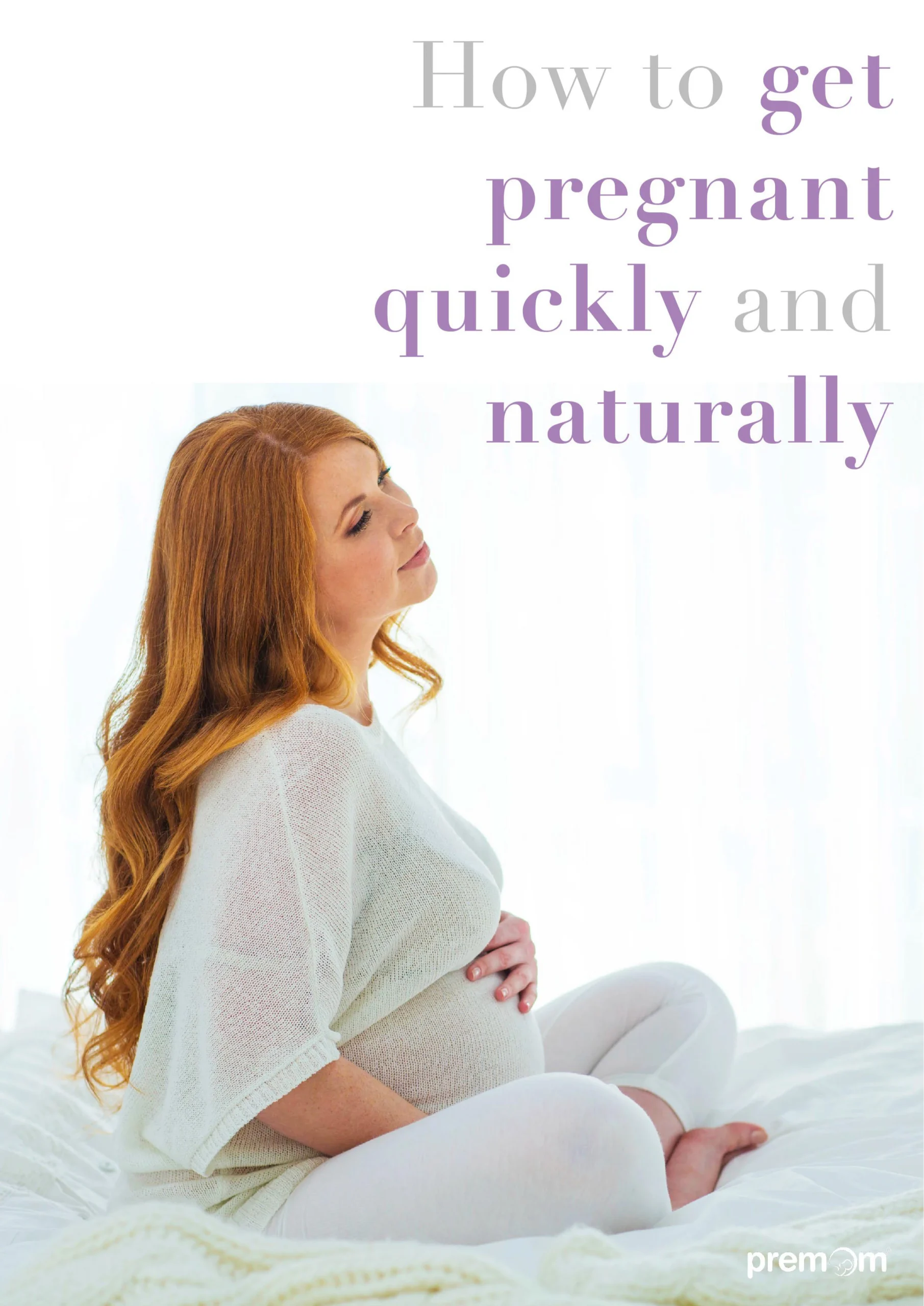 How to get pregnant quickly and naturally E Book