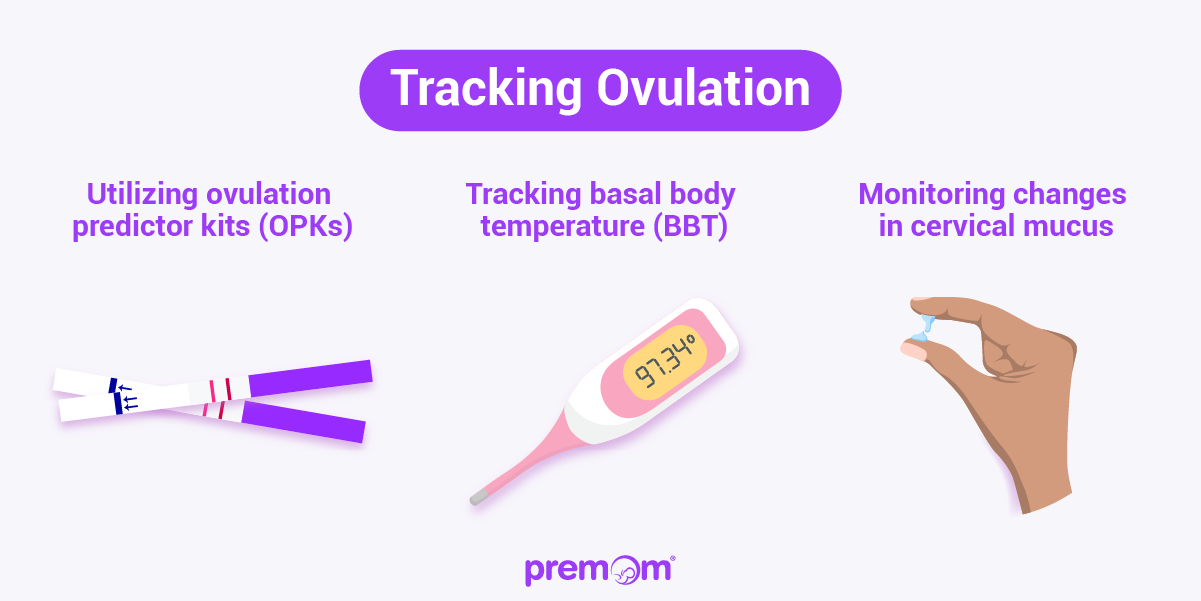 Pregnancy Loss And Ovulation: How Quickly After A Miscarriage Do You ...